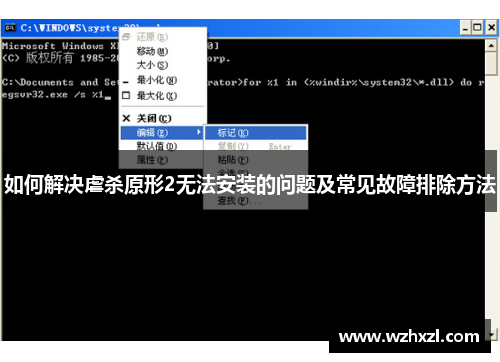 如何解决虐杀原形2无法安装的问题及常见故障排除方法